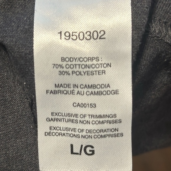 EUC: champion heavyweight, dark, gray T-shirt, men size L - Picture 5 of 5